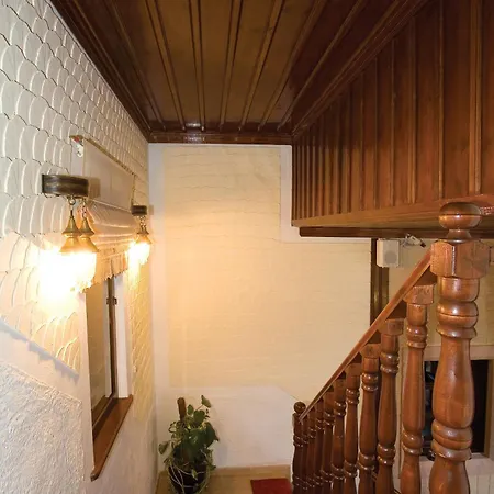 Hotel Cicerone 4*